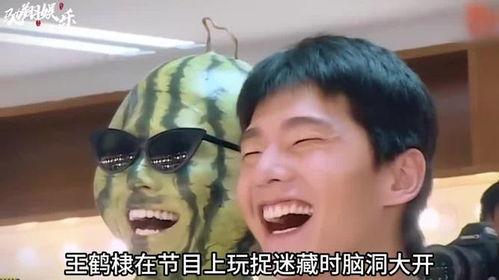 吃王鹤棣瓜,瓜味人生，甜蜜来袭